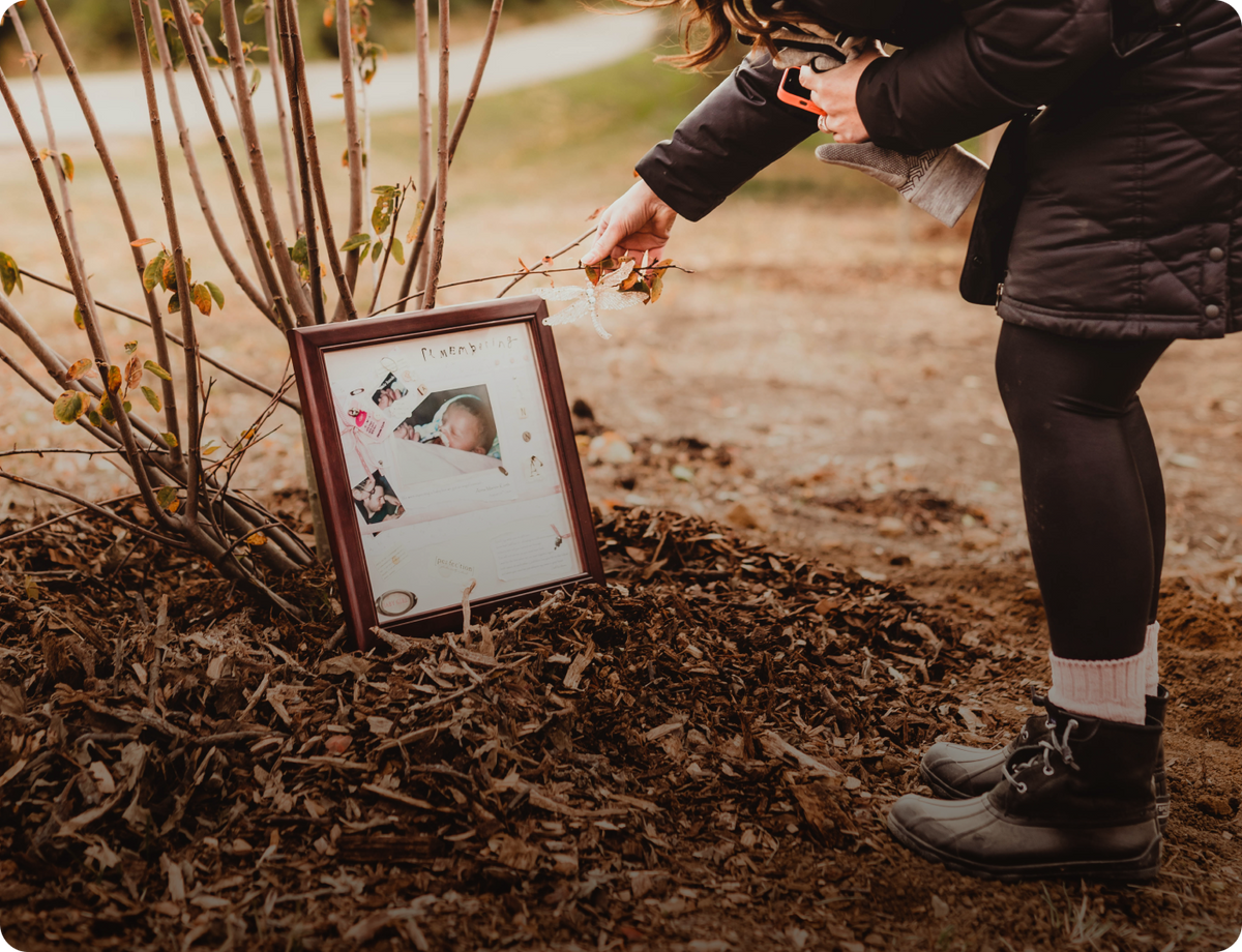 Community, Research, and Support for Your Parenting Journey